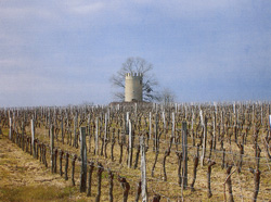 La propriété - le Château Vieille Tour